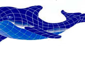 Fibreglass Pool Mosaic - Swifty Dolphin