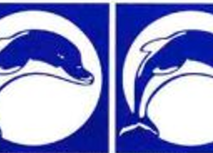 Fibreglass Pool Mosaic - Dolphin Mosaic Dk Blue