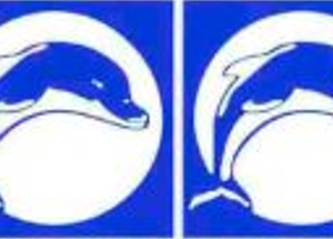 Fibreglass Pool Mosaic - Dolphin Mosaic Lt Blue