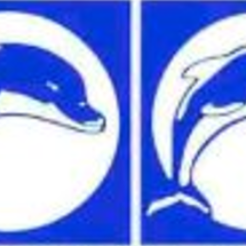 Fibreglass Pool Mosaic – Dolphin Mosaic Lt Blue